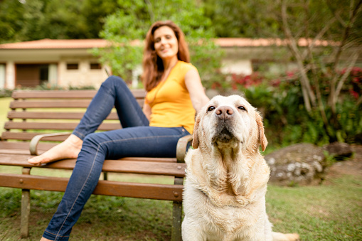 Labrador retriever sitting outside next his smiling female owner sitting on a bench in her backyard