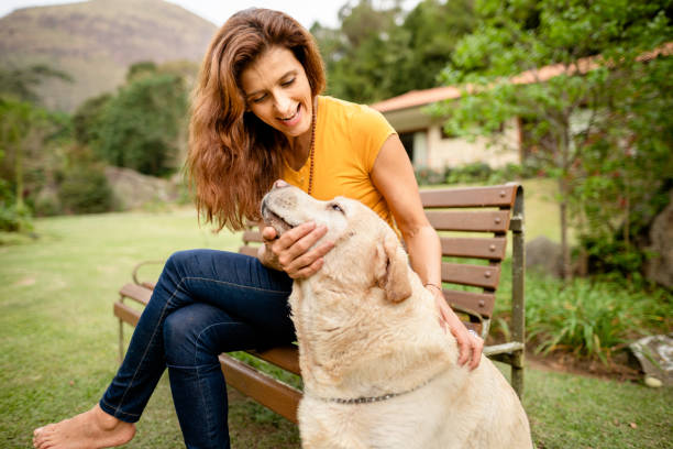 istock Labrador retriever sitting outside next to his smiling owner 1355117028