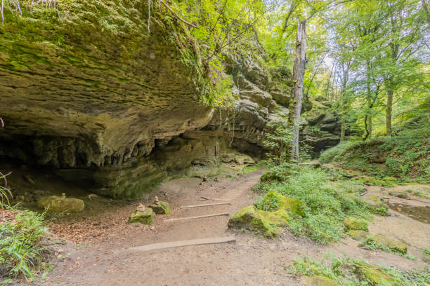 istock Dirt trail, moss covered rock formations, apachitas or cairns, wild vegetation and trees with green foliage in the background 1355119273