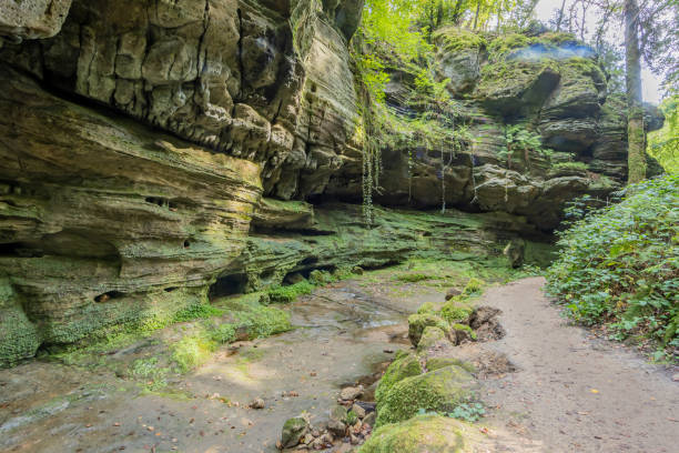 istock Stream with little water between a huge rock formation and a footpath disappearing into the background 1355119297