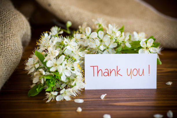 istock thank you card and blooming spring branch with flowers 1355120771