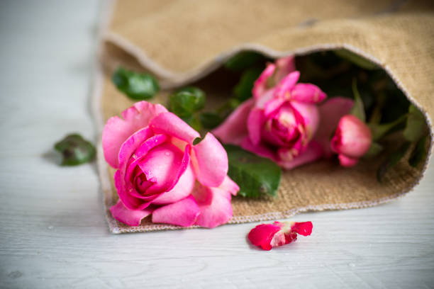 pink beautiful summer roses on a light wooden table