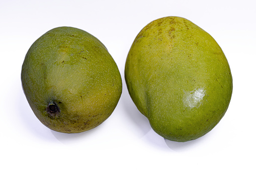 Two green mango fruits with white background