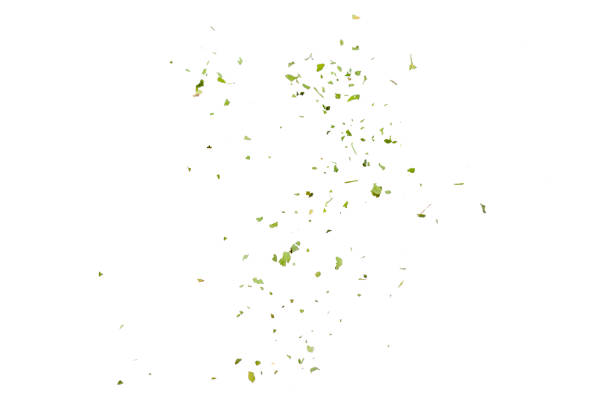 feuilles de persil hachées vertes isolées sur fond et texture blancs, vue de dessus. persil haché sur fond blanc isolé. feuilles de persil hachées. - parsley photos et images de collection