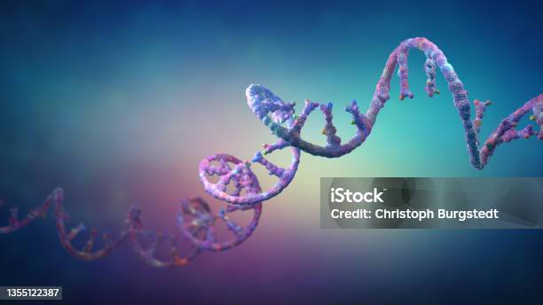 Ribonucleic Acid Strands Consisting Of Nucleotides 3d Illustration Stock Photo - Download Image Now