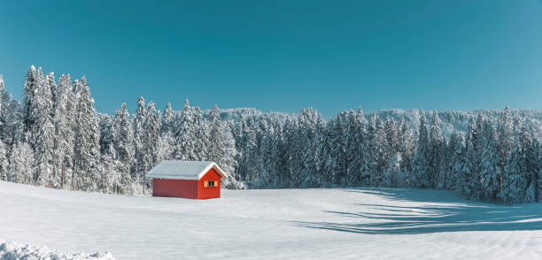 istock Red house on a snowy forest 1355125652