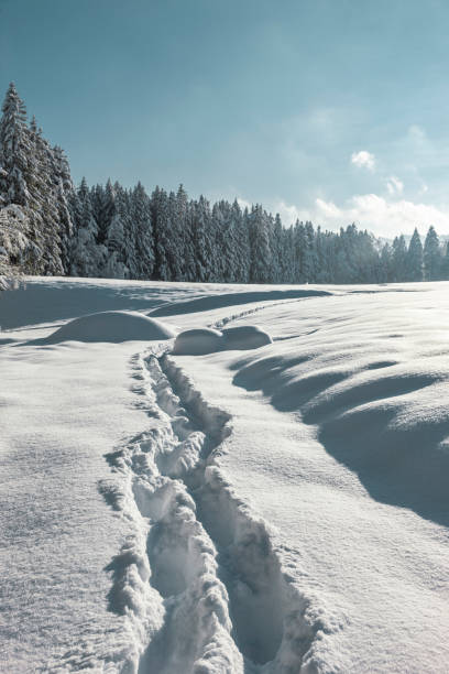 impronta nella neve profonda nel paesaggio invernale - allgau bavaria mountain horizon foto e immagini stock