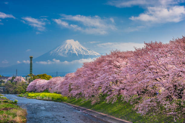 istock Mt. Fuji, Japan on the Urui River 1355130233