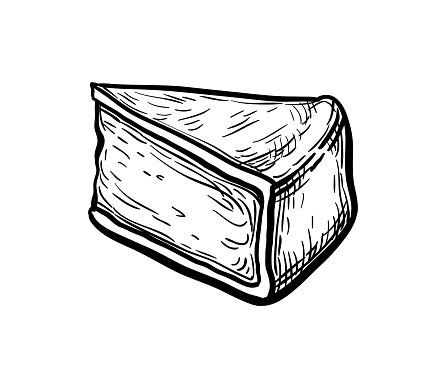 Camembert cheese ink sketch