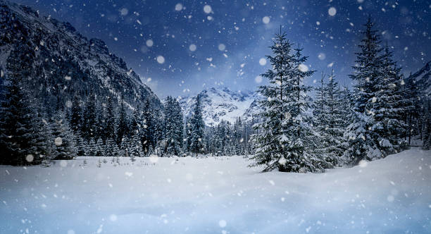 istock Snowy Winter Landscape, Zakopane Tatry 1355134319