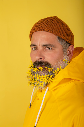 An attractive bearded man with flowers in his beard, isolated on yellow background. Vertical view