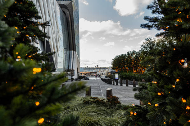 istock Christmas trees in New York 1355138448
