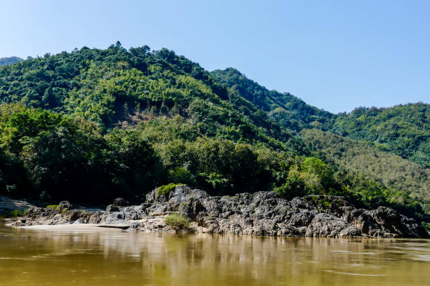 istock lake in forest, digital photo picture as a background 1355138524