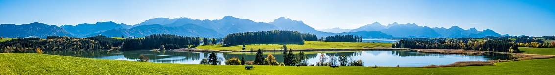 Lake Forggensee near Fuessen - germany
