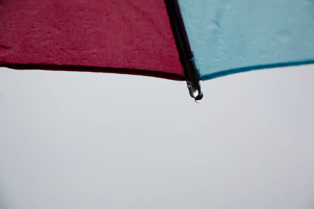istock Rain drops falling on rainbow umbrella in the day with nature background 1355140275