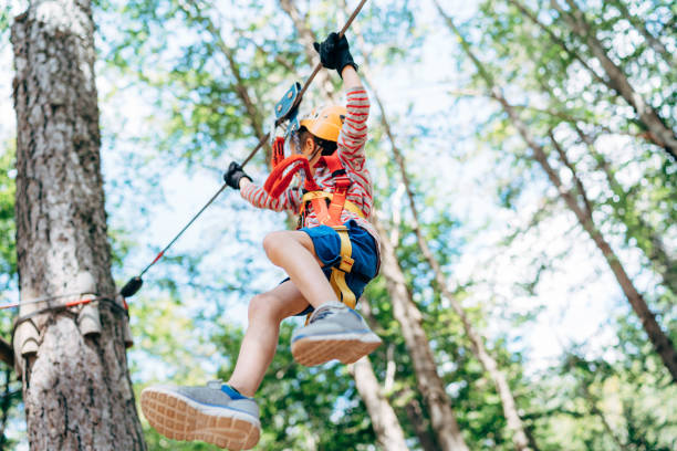 istock Boy descends the cable to the wooden platform 1355141850