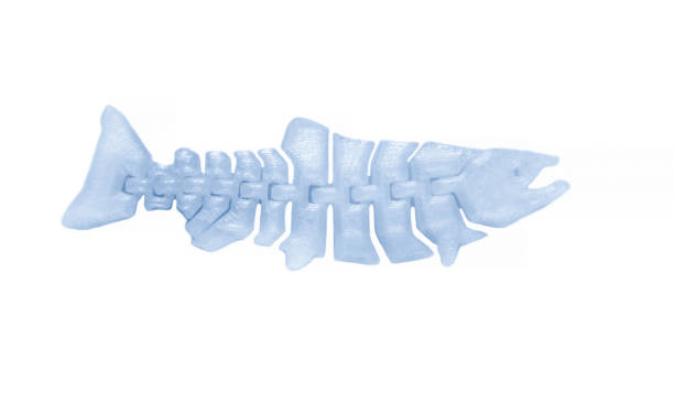 istock Bright light white object in shape of fish toy printed on 3d printer 1355143407