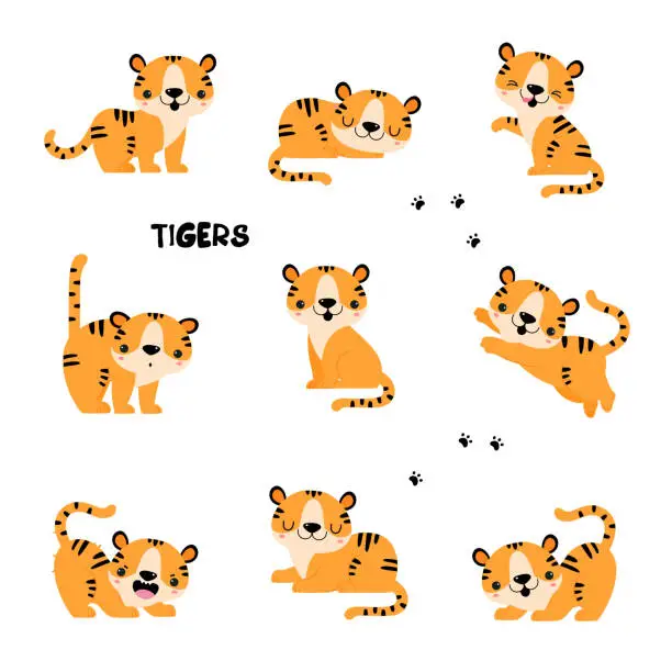 Vector illustration of Cute Little Striped Tiger Cub with Orange Fur in Different Pose Vector Set