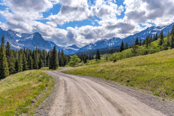 spring mountain road - polna droga wiejska wijąca się w cut bank valley w kierunku wysokich szczytów lewis range w słoneczny wiosenny wieczór w parku narodowym glacier. - mountain montana mountain peak mountain range zdjęcia i obrazy z banku zdjęć