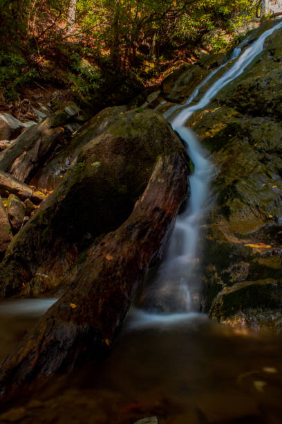 istock Cascading waterfall in the Blue Ridge mountains 1355144744