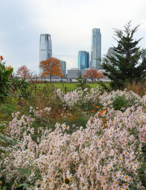istock Jersey City skyline viewed through autumn colors 1355147604