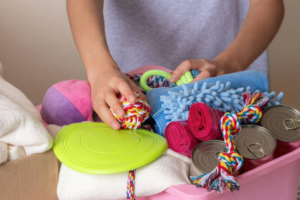 Animal shelter donations. Volunteer hands collecting donations, preparing donation boxes with canned pet food, blankets, animal tools, accessories and toys for animal shelters