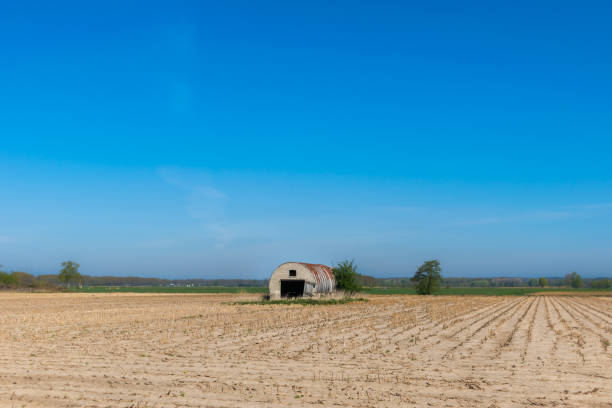 istock Lonely abandoned barn on a desolated field 1355151553