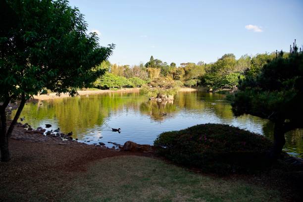 istock Lake View, Ju Raku En, Queensland 1355153149
