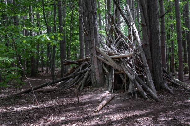 istock wooden branches shelter in the forest 2 1355153562