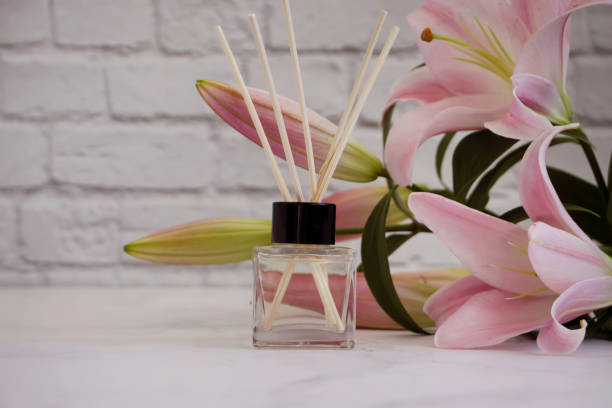 perfumy do domowej lilii kwiatowej - flower bamboo white scented zdjęcia i obrazy z banku zdjęć
