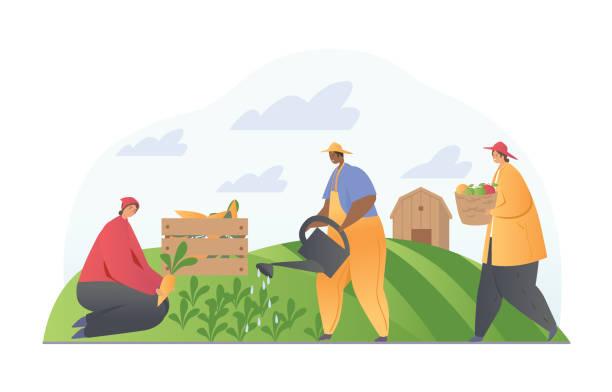ilustrações, clipart, desenhos animados e ícones de jardineiro e agricultores estão trabalhando no jardim - produtor rural