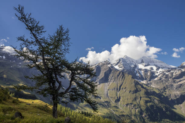 istock Mountain road in Alps 1355162182