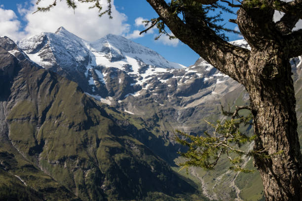 istock Mountain road in Alps 1355162367