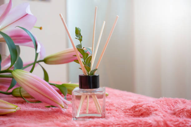 perfumy do domowej lilii kwiatowej - flower bamboo white scented zdjęcia i obrazy z banku zdjęć