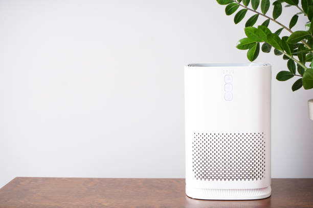 istock Modern air purifier with ionization and houseplant on table against grey background, place for text. 1355163771