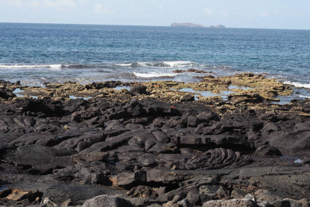 istock Sombrero Chino,  Galapagos Islands 1355166530