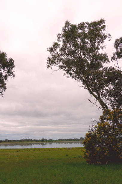 istock Edenhope,  Wimmera, Victoria, Australia 1355167071