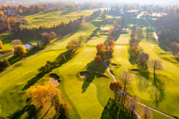 aerial view of residential distratic at rutherford road and islington ave., detached and duplex house, woodbridge, vaughan, canada - deciduous tree autumn canada house imagens e fotografias de stock