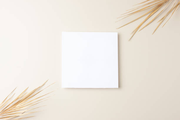 istock Minimal composition with palm leaf on pastel beige background. Flat lay, copy space 1355168561