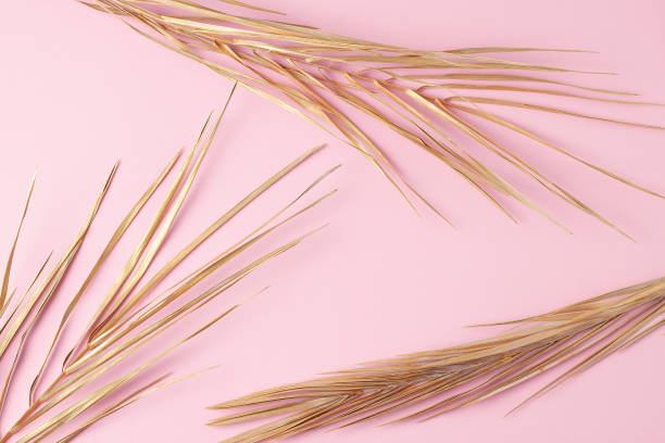 istock Tropical natural background with palm leaf on pink. Flat lay 1355168566