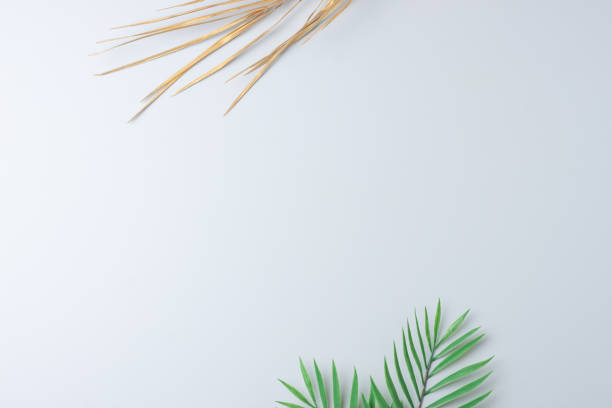 istock Tropical natural background with palm leaf on grey. Flat lay, copy space 1355168568