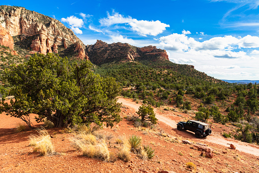 The natural beauty of the Arizona desert with majestic sandstone buttes.