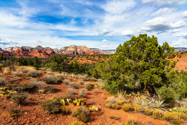 istock Sedona Arizona 1355169730