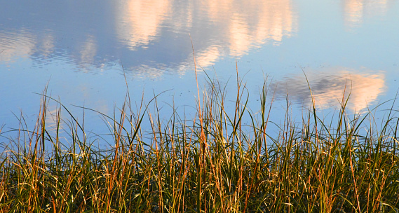 The waters edge of a park in Sweden at the end of the day with some lovely reflections in the water