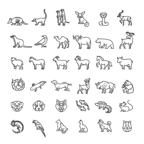 ikony zwierząt. zestaw ikon konturu wektorowego. zoo - zwierzęce gniazdo stock illustrations