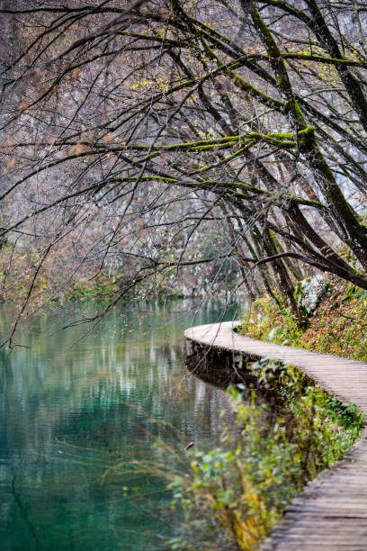 istock the wonderful plitvice waterfalls in croatia 1355173826