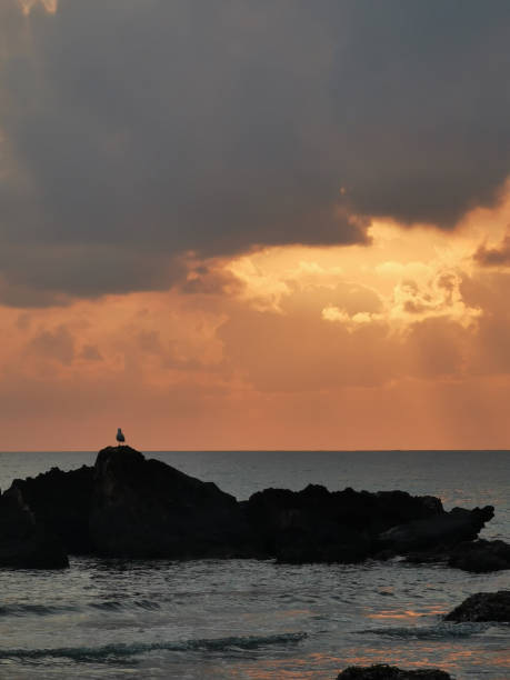 istock sunset over sea with reflection in water, majestic clouds in the sky 1355177305