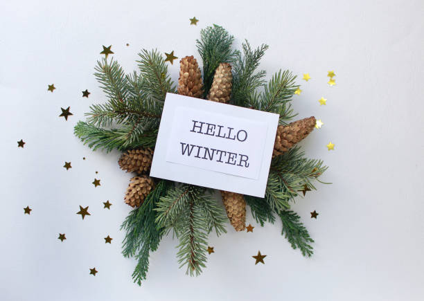 istock Hello winter greeting card, fir tree branches, cones and festive decor on white background, flat lay 1355184758