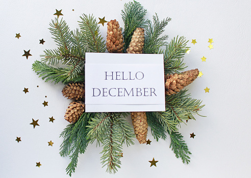 Hello December greeting card, fir tree branches, cones and festive decor on white background, flat lay