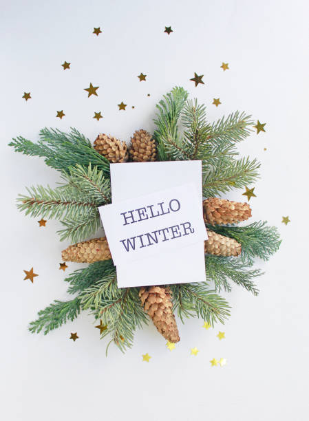 istock Hello winter greeting card, fir tree branches, cones and festive decor on white background, flat lay 1355185329
